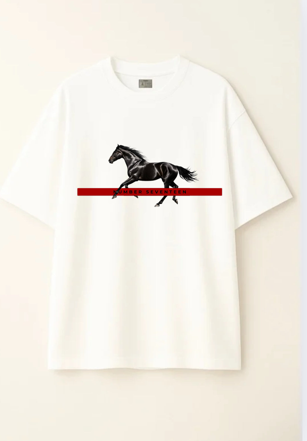 NO17 Black Horse