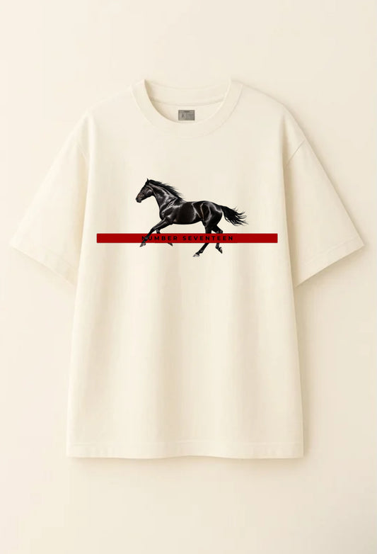 NO17 Black Horse